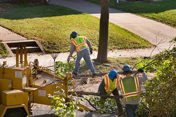 Lawn Pest Prevention in Scott Af, IL